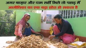 village farmers struggling