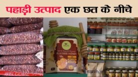 pahari organic product