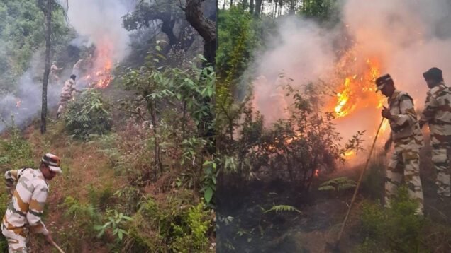 itbp jawan forest fire