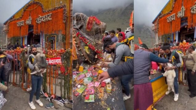 Action order against man for touching dogs feet to nandi in kedarnath