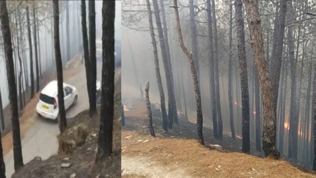 forest fire intensifies in tehri, vehicle stranded in road