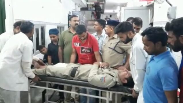 IMG_20221016_191633-1050×525