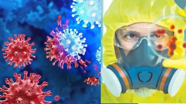 disease x pandemic assesed by vaccine experts, more dangerous than covid19