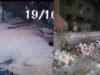 cctv footage of wall collapse