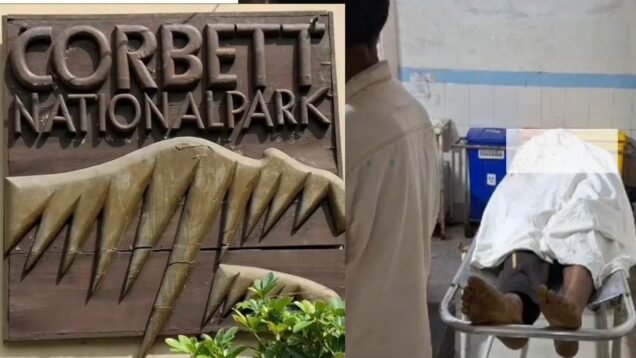 TIGER KILLS WORKER IN CORBETT NATIONAL PARK