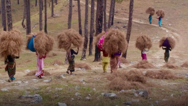 New Project – 2024-05-08T165350.288