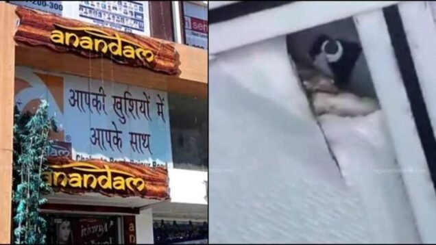 New Project – 2024-08-16T153416.425