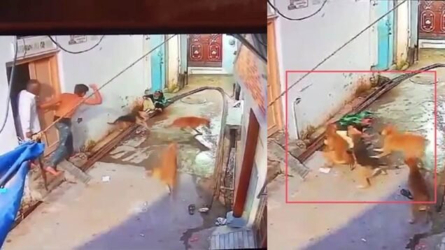 New Project – 2025-03-24T185656.040