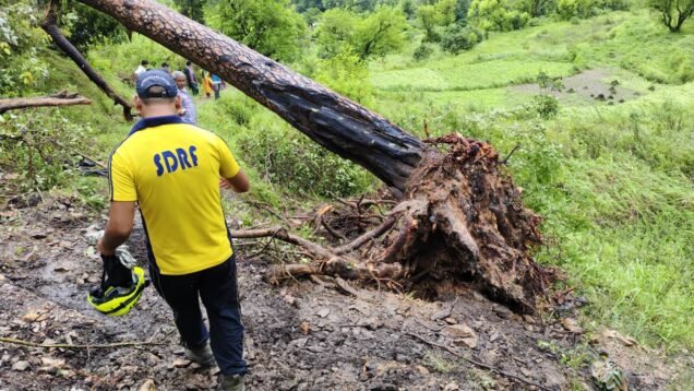 New Project – 2025-07-12T190848.432