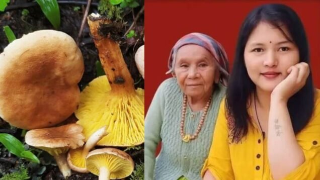 New Project – 2025-07-15T115100.582