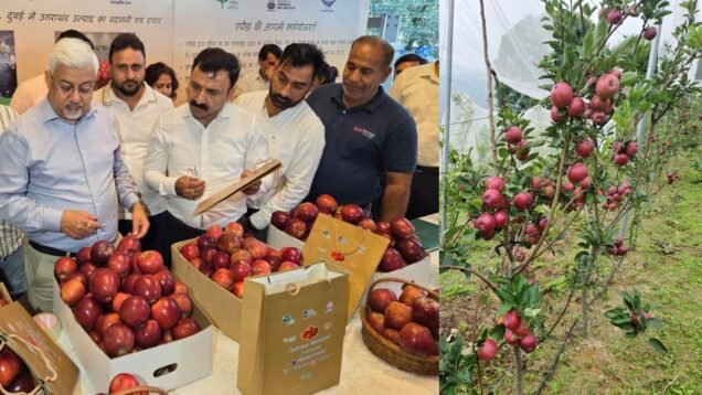 New Project – 2025-08-22T182044.571