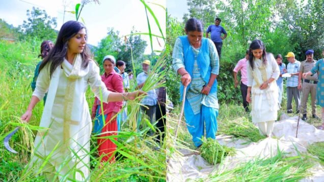 New Project – 2025-08-28T131439.009