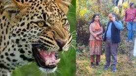 New Project – 2025-12-04T124525.738