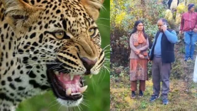 New Project – 2025-12-04T124525.738