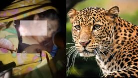 New Project – 2025-12-06T113739.840