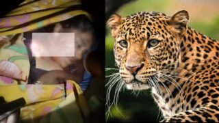 New Project – 2025-12-06T113739.840