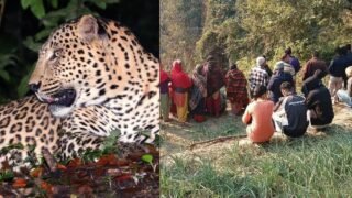 New Project – 2026-01-15T131440.949