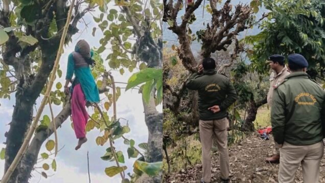 New Project – 2026-01-27T171700.725