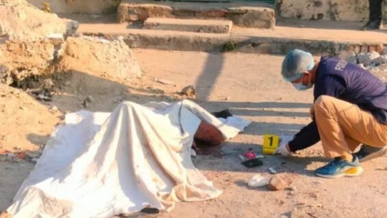 New Project – 2026-02-12T114556.007