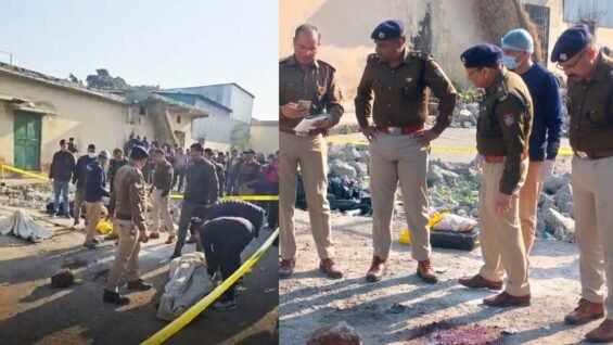 New Project – 2026-02-12T120808.066