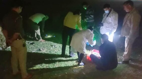 New Project – 2026-02-24T115643.491