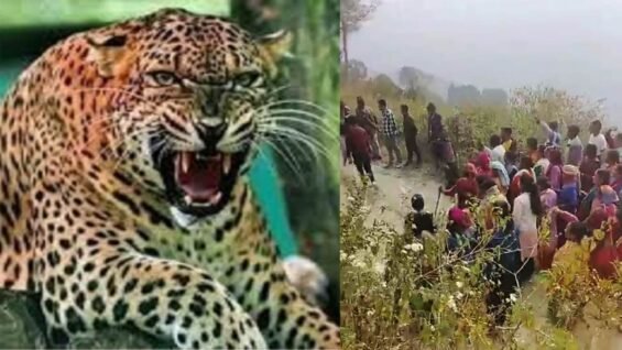 New Project – 2026-03-10T122338.486