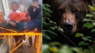 New Project – 2026-03-21T193127.891