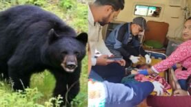 New Project – 2026-03-25T162027.094