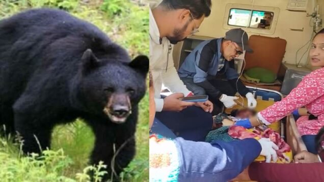 New Project – 2026-03-25T162027.094