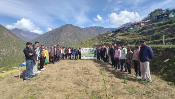 289e0d13-323b-4cad-ac3a-c18b5060df25