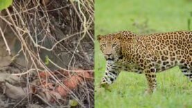 New Project – 2026-04-23T154402.097