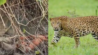 New Project – 2026-04-23T154402.097