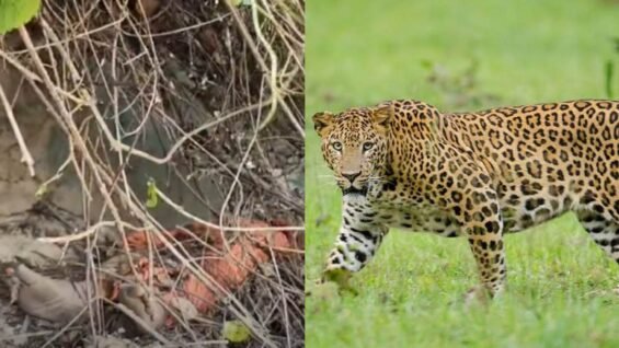 New Project – 2026-04-23T154402.097