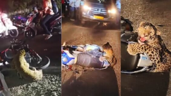 New Project – 2026-04-29T114928.853