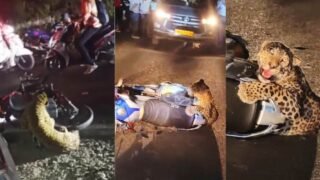 New Project – 2026-04-29T121612.971